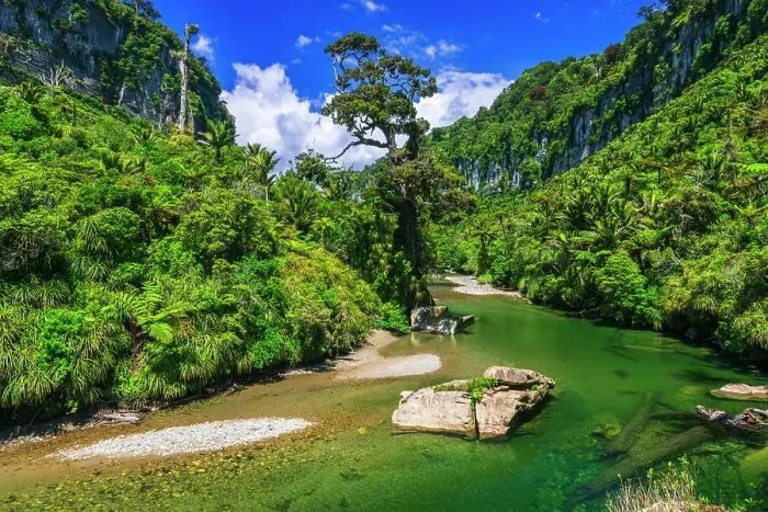 Framed Print : The Pororari River, Paparoa National Park, Punakaiki, New Zealand