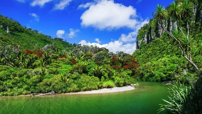 Framed Print : The Pororari River, Paparoa National Park, Punakaiki, New Zealand