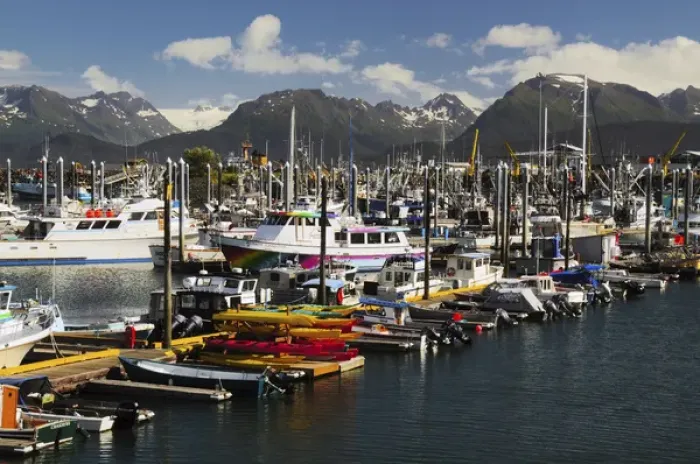 Framed Print : Port of Homer; Alaska; USA; with Kenai Mountains in the Background Framed Print : Port of Homer; Alaska; USA; with Kenai Mountains in the Background