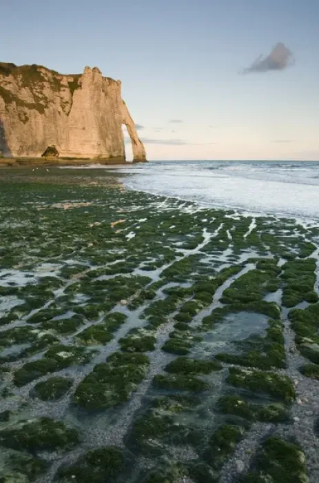 Framed Print : Porte d Aval arch, Etretat, Normandy, FRANCE