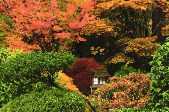 Framed Print : Portland Japanese Garden in Autumn, Portland, Oregon, USA