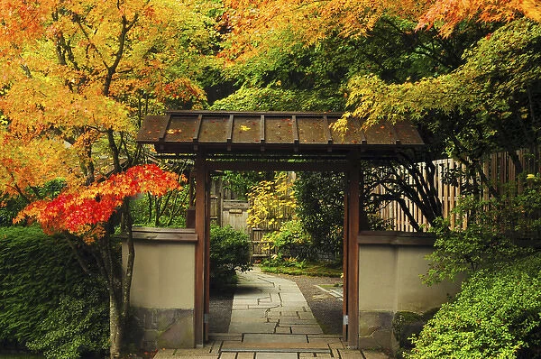 Portland Japanese Garden in Autumn, Portland Japanese Garden, Portland, USA