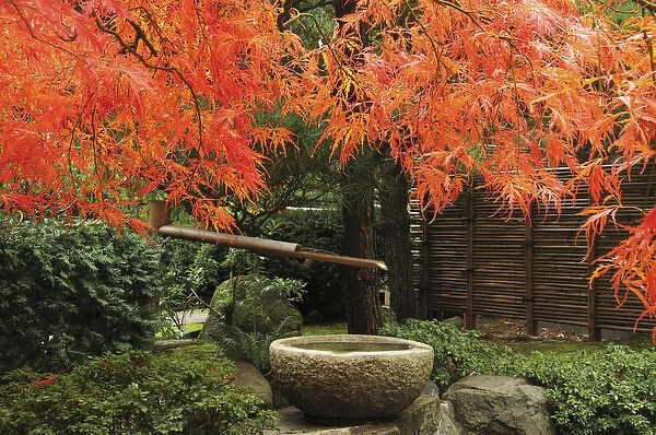 Portland Japanese Garden in Autumn; Portland; Oregon; USA