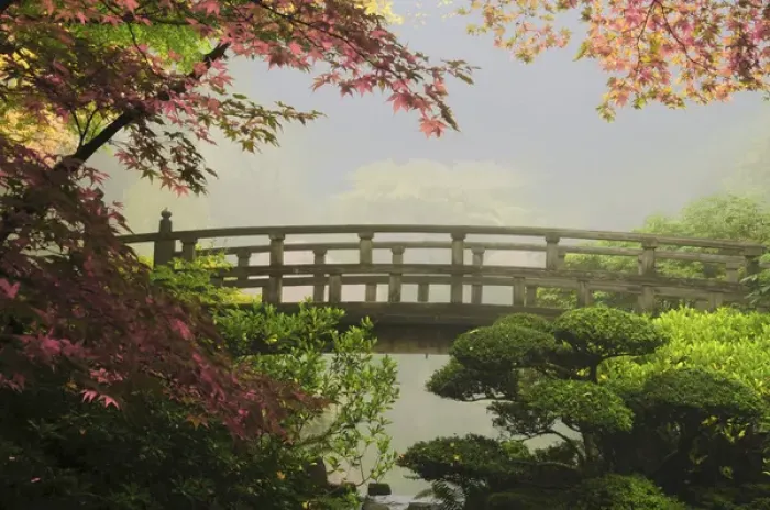 Framed Print : Portland Japanese Garden, Oregon, USA (PR)