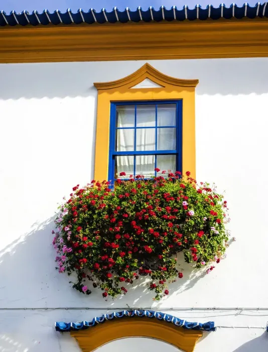 Framed Print : Portugal, Aveiro. Colorful houses Framed Print : Portugal, Aveiro. Colorful houses