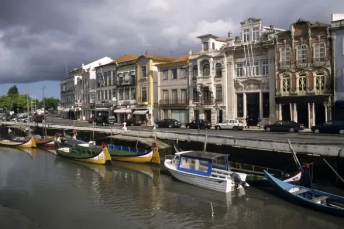 Framed Print : Portugal, Aveiro. Moliceiros (seaweed collecting boats) moored along the Canal Central Framed Print : Portugal, Aveiro. Moliceiros (seaweed collecting boats) moored along the Canal Central