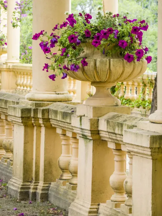 Framed Print : Portugal, Aveiro. Parque Dom Pedro Infante in Aveiro. Stone balustrade with pergola Framed Print : Portugal, Aveiro. Parque Dom Pedro Infante in Aveiro. Stone balustrade with pergola
