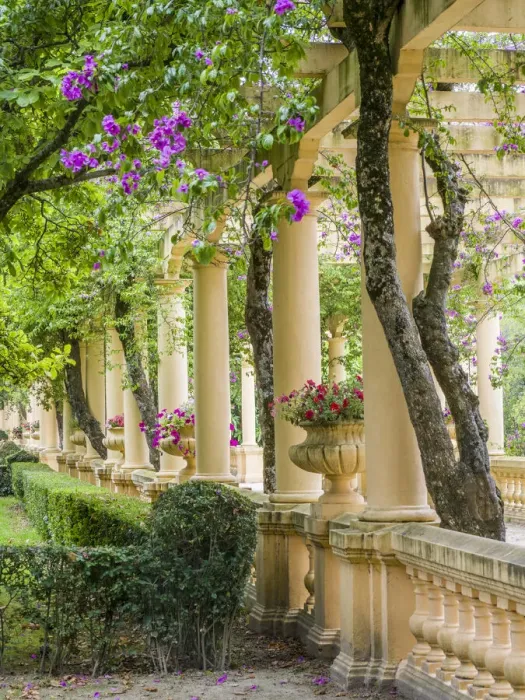 Framed Print : Portugal, Aveiro. Parque Dom Pedro Infante in Aveiro. Stone balustrade with pergola Framed Print : Portugal, Aveiro. Parque Dom Pedro Infante in Aveiro. Stone balustrade with pergola