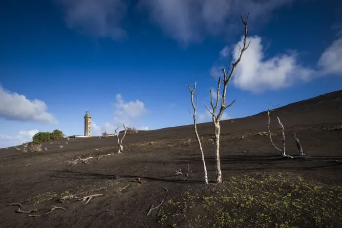 Framed Print : Portugal, Azores, Faial Island. Capelinhos volcanic eruption site and remaining trees Framed Print : Portugal, Azores, Faial Island. Capelinhos volcanic eruption site and remaining trees