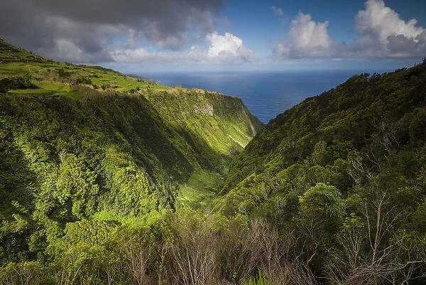 Portugal, Azores, Faial Island. Landscape from the Miradouro Ribeira Funda