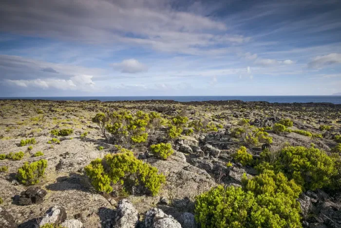 Framed Print : Portugal, Azores, Pico Island, Arcos. Volcanic landscape on Northern Pico Island Framed Print : Portugal, Azores, Pico Island, Arcos. Volcanic landscape on Northern Pico Island