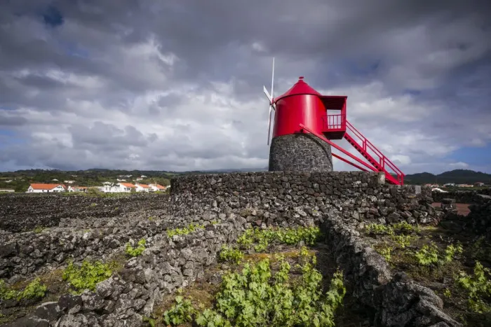Framed Print : Portugal, Azores, Pico Island, Criacao Velha Framed Print : Portugal, Azores, Pico Island, Criacao Velha