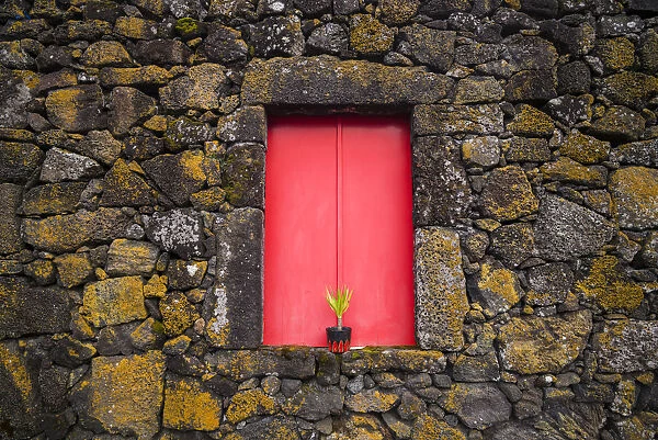 Portugal, Azores, Pico Island, Madalena. Red doors on barn