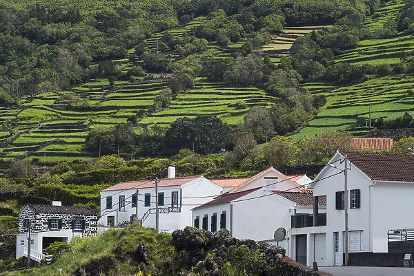 Portugal, Azores, Pico Island, Santo Amaro. Town view