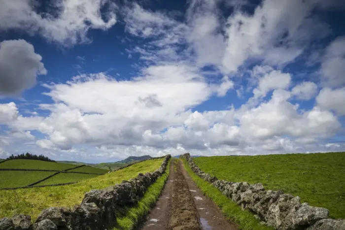 Framed Print : Portugal, Azores, Terceira Island, Serra do Cume. Stone wall Framed Print : Portugal, Azores, Terceira Island, Serra do Cume. Stone wall