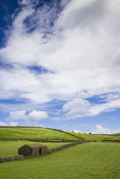 Portugal, Azores, Terceira Island, Serra do Cume fields in springtime