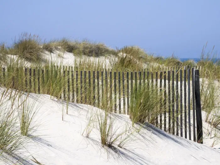 Framed Print : Portugal, Costa Nova. Beach grass, sand and old fence line at the beach resort of Costa Framed Print : Portugal, Costa Nova. Beach grass, sand and old fence line at the beach resort of Costa
