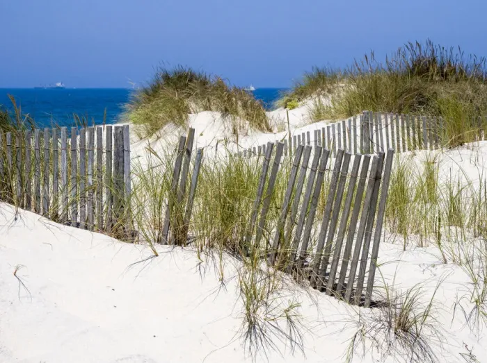 Framed Print : Portugal, Costa Nova. Beach grass, sand and old fence line at the beach resort of Costa Framed Print : Portugal, Costa Nova. Beach grass, sand and old fence line at the beach resort of Costa