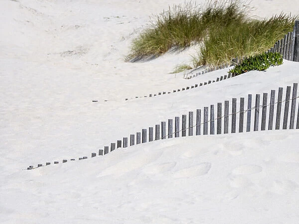 Portugal, Costa Nova. Beach grass, sand and old fence line at the beach resort of Costa
