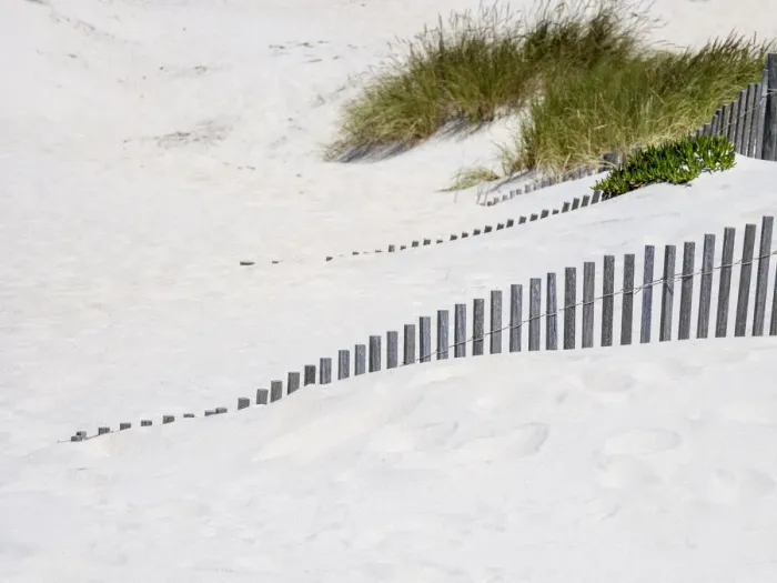 Framed Print : Portugal, Costa Nova. Beach grass, sand and old fence line at the beach resort of Costa