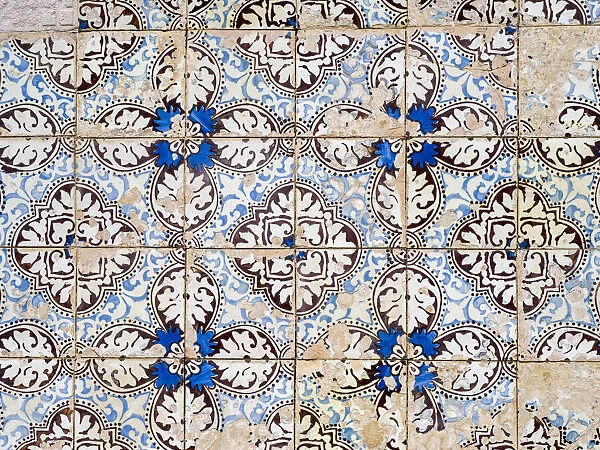 Portugal, Costa Nova. Colorful azulejo tiles on the exterior wall of house