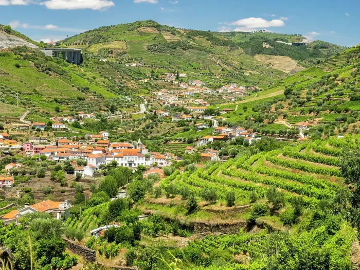 Framed Print : Portugal, Douro Valley, Pinhao. The vineyards of the Douro Valley above Pinhao are set on terraced hillsides above the Douro River Framed Print : Portugal, Douro Valley, Pinhao. The vineyards of the Douro Valley above Pinhao are set on terraced hillsides above the Douro River