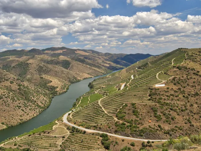 Framed Print : Portugal, Douro Valley. View of Douro River and vineyards Framed Print : Portugal, Douro Valley. View of Douro River and vineyards