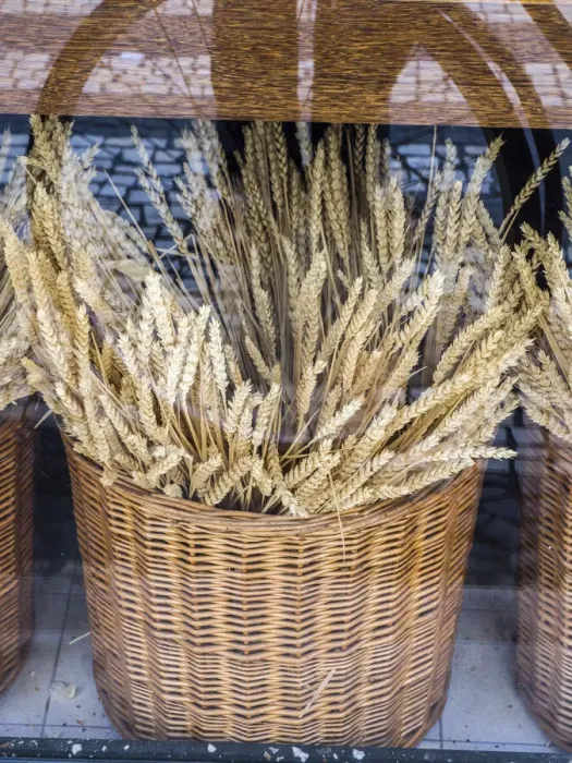 Framed Print : Portugal, Lisbon. Dried wheat stalks in the window of a bakery