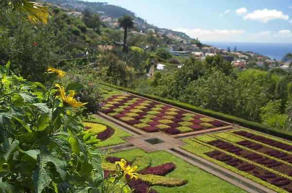 Portugal, Madeira Island, Funchal. Botanical Gardens (aka Jardim Botanico), founded in 1960