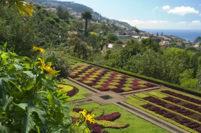 Framed Print : Portugal, Madeira Island, Funchal. Botanical Gardens (aka Jardim Botanico), founded in 1960