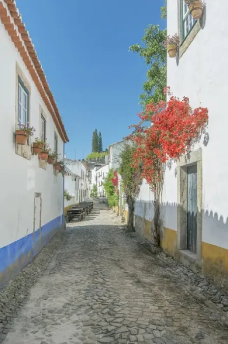 Framed Print : Portugal, Obidos, Cobblestone Street in the Historic Cente Framed Print : Portugal, Obidos, Cobblestone Street in the Historic Cente