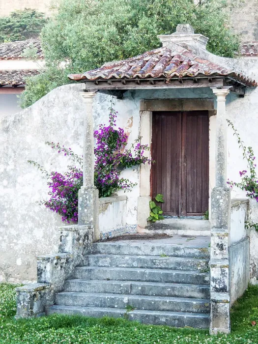 Framed Print : Portugal, Obidos. Dark purple bougainvillea vine growing along side the entrance of a home in the walled town Framed Print : Portugal, Obidos. Dark purple bougainvillea vine growing along side the entrance of a home in the walled town