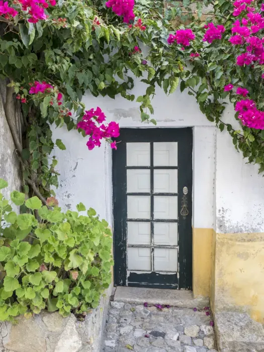 Framed Print : Portugal, Obidos. Doorway surrounded by a bougainvillea vine