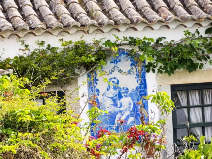 Framed Print : Portugal, Obidos. Flowers growing on walls of the town Framed Print : Portugal, Obidos. Flowers growing on walls of the town