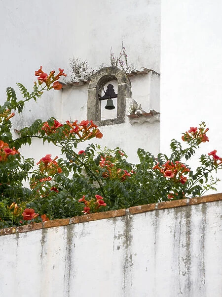 Portugal, Obidos. Orange trumpet vine growing below a church bell in the medieval village