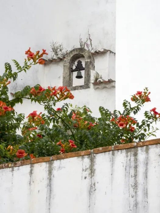 Framed Print : Portugal, Obidos. Orange trumpet vine growing below a church bell in the medieval village Framed Print : Portugal, Obidos. Orange trumpet vine growing below a church bell in the medieval village