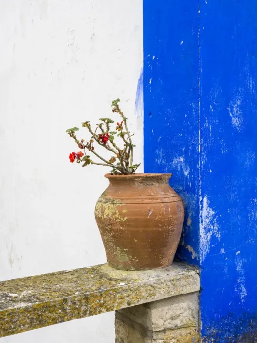Framed Print : Portugal, Obidos. Plant in a terracotta pot on stone bench