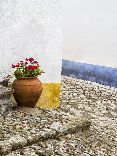 Portugal, Obidos. Red geranium growing in a terra cotta pot next to the entrance of a