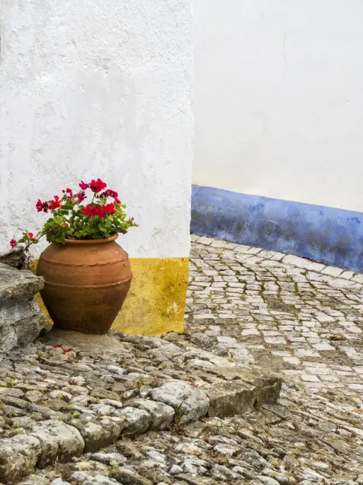 Framed Print : Portugal, Obidos. Red geranium growing in a terra cotta pot next to the entrance of a Framed Print : Portugal, Obidos. Red geranium growing in a terra cotta pot next to the entrance of a