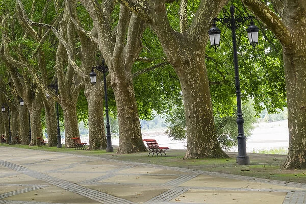 Portugal, Ponte de Lima. Oldest city in Portugal. Tree lined walk along the Lima River