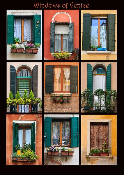 This poster features residential windows throughout Venice with flower window boxes