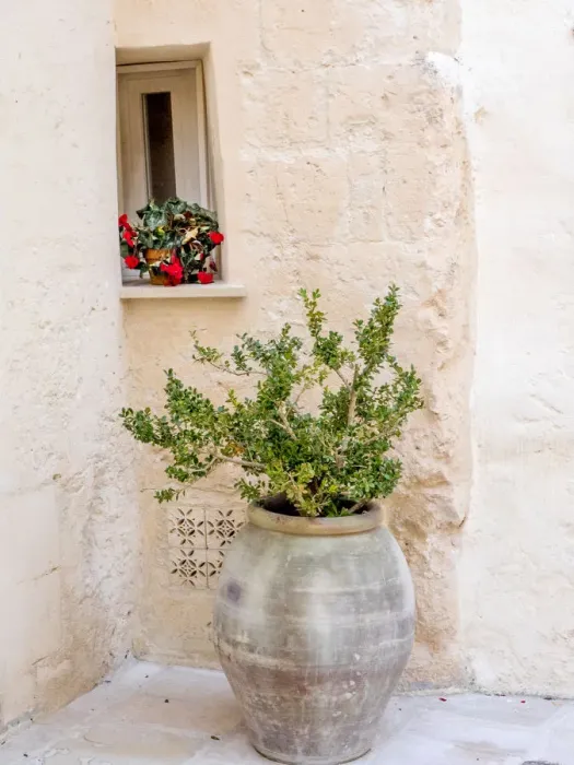 Framed Print : Potted plants outside the Sassi houses