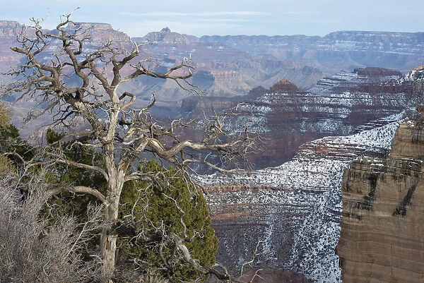 Powell Point, Grand Canyon National Park, Arizona, USA