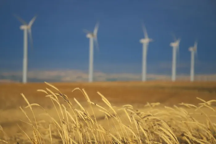 Framed Print : Power generating windmills are lined up behind the edge of a wheat field. Walla Walla County, WA Framed Print : Power generating windmills are lined up behind the edge of a wheat field. Walla Walla County, WA