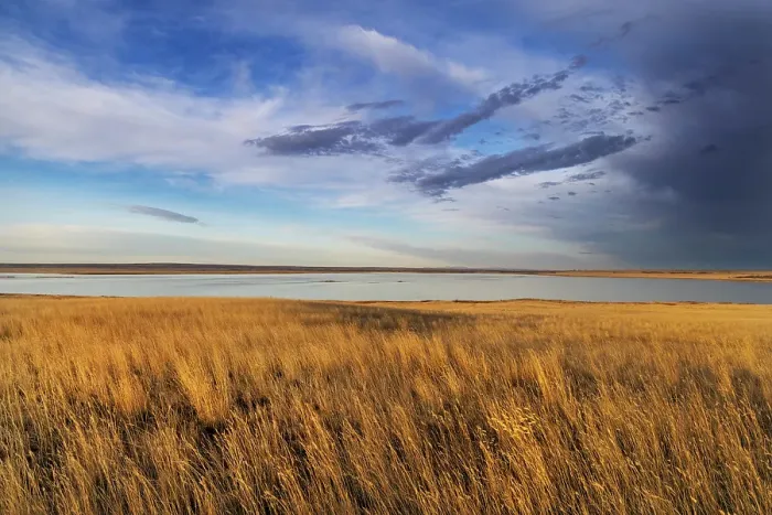 Framed Print : Prairie grasslands and Lake Bowdoin at Bowdoin National Wildlife Refuge near Malta, Montana, USA. (Editorial Use Only) Framed Print : Prairie grasslands and Lake Bowdoin at Bowdoin National Wildlife Refuge near Malta, Montana, USA. (Editorial Use Only)