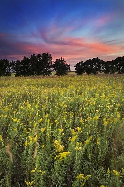 Prairie at sunset, Homestead National Monument of America, Nebraska, USA