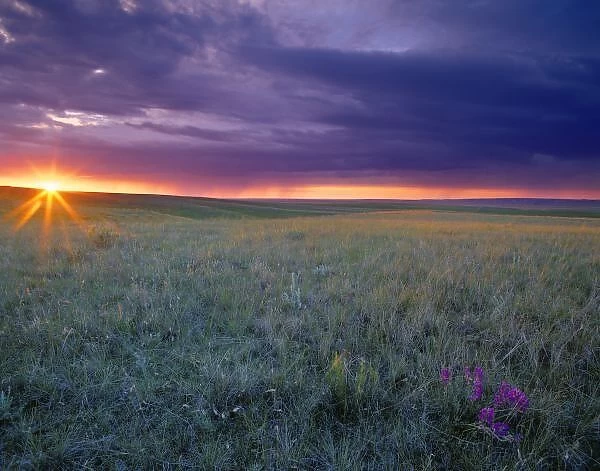 Prairie Sunset near Culbertson Montana