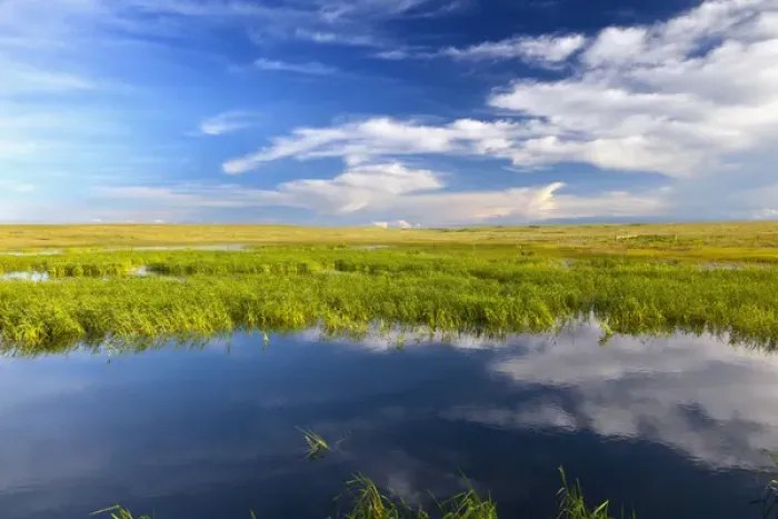 Framed Print : Prairie wetlands at Wards Dam in Valley County, Montana, USA Framed Print : Prairie wetlands at Wards Dam in Valley County, Montana, USA