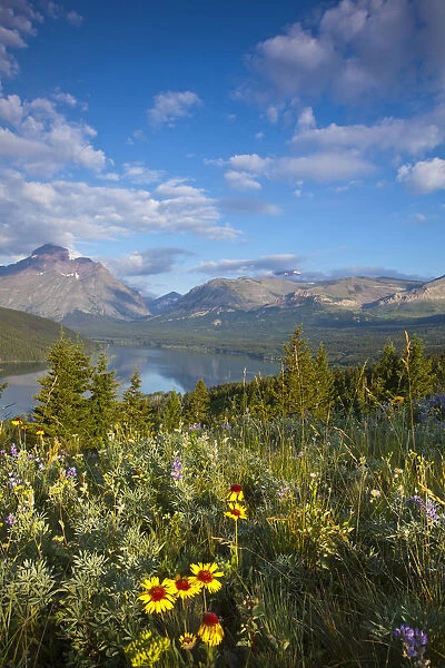 Prairie wildflowers and Lower Two Medicine Lake in Glacier National Park and Blackfeet