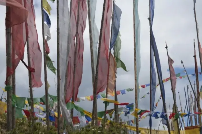 Framed Print : Prayer flag poles in the mountain, Yotongla Pass, Bumthang area, Bhutan
